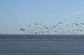 18_DP-2011-023 Bild0045c
